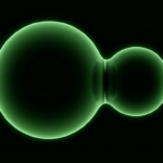 Two joined glowing green spheres merging into one form